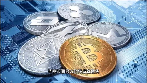 迈阿密加密货币监管,政策动态与行业发展前瞻