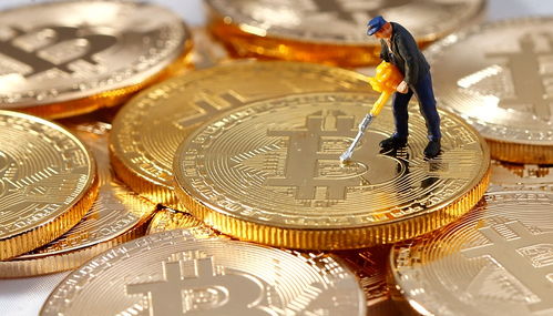 加密货币总量100万,100万总量背后的投资潜力与市场展望