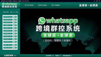 价格适中的whatsapp客服,WhatsApp客服体验新选择