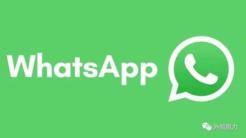 境外的whatsapp,揭秘境外WhatsApp的社交奥秘