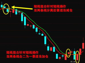 加密货币高抛低吸的原因,盈利背后的秘密