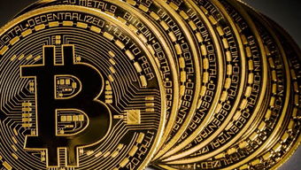 美国加密货币开盘,市场动态与趋势解析